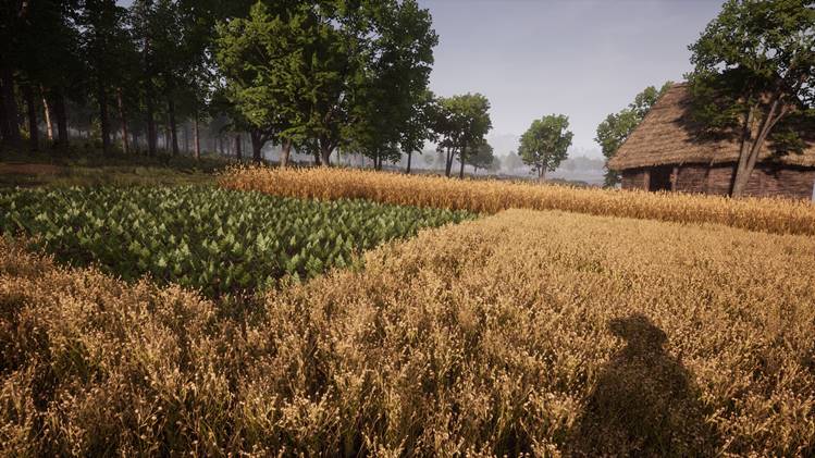 Medieval Dynasty Crop Plantations farming