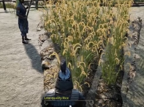 cultivating crops myth of empires