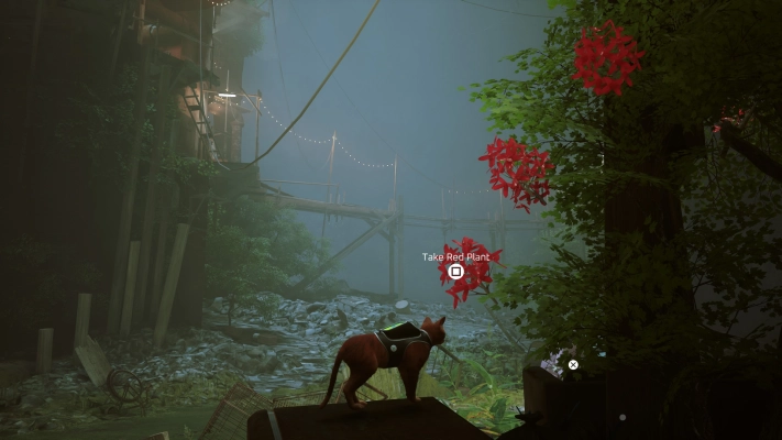 Stray - Red Plant