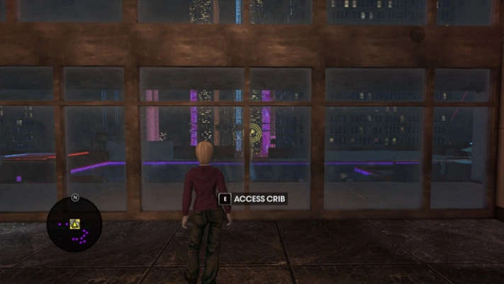 Saints Row 2022 - Camera