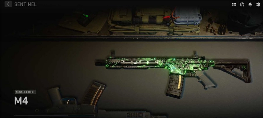 Call of Duty MW2 - Camos explained