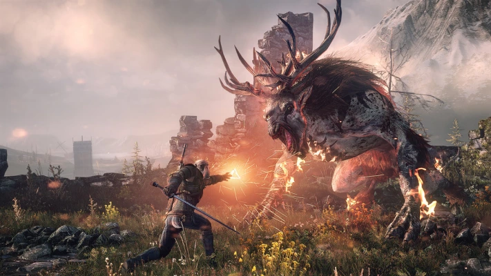The Witcher 3 - Wild Hunt - fixes