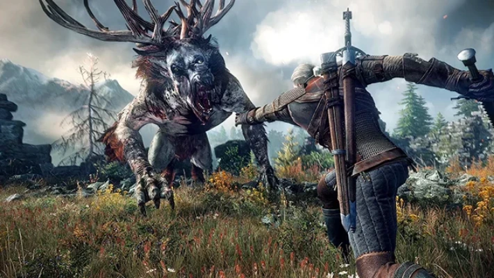 The Witcher 3 - Wild Hunt - performance issues
