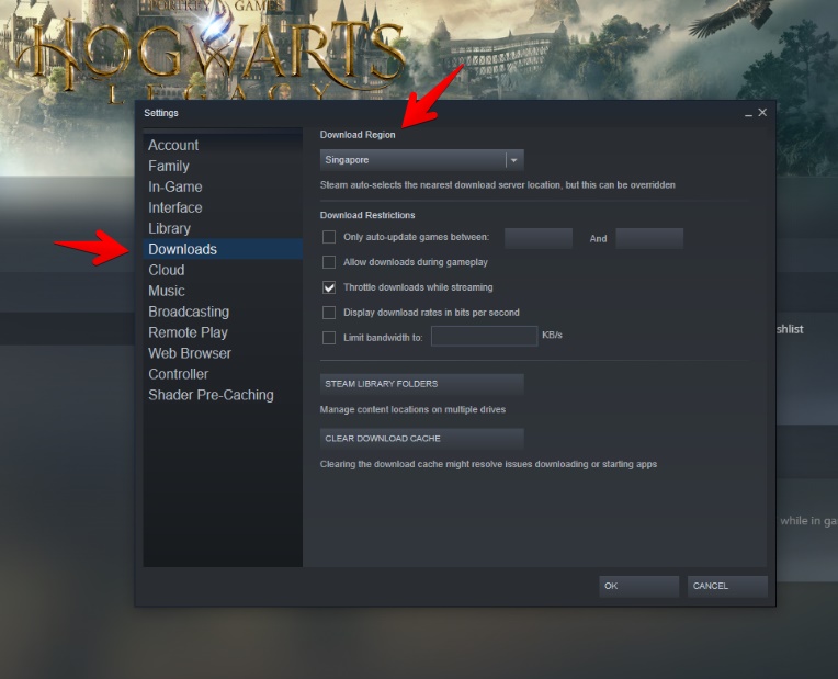 Settings Hogwarts Legacy