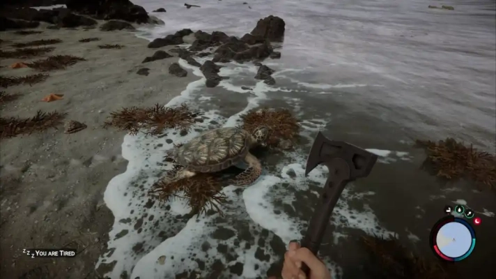 Sons of the Forest - capturing sea turtle