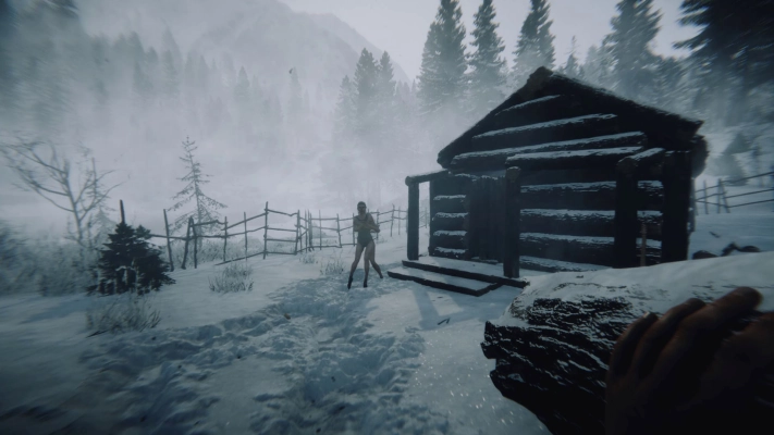 Sons of the Forest - winter