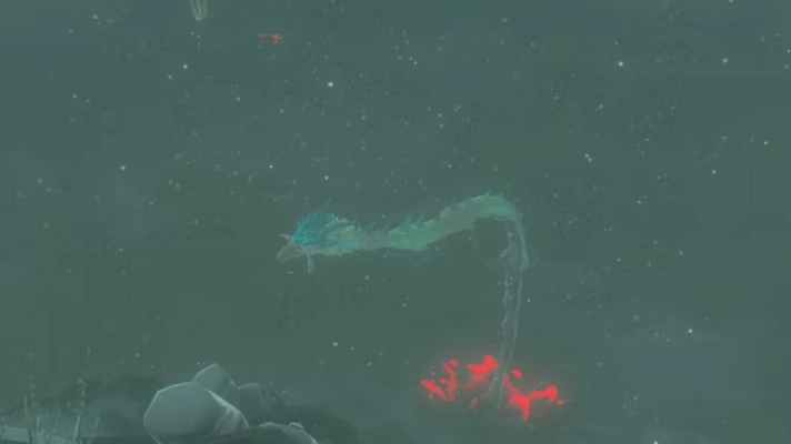 The Legend of Zelda - Tears of the Kingdom - Naydra