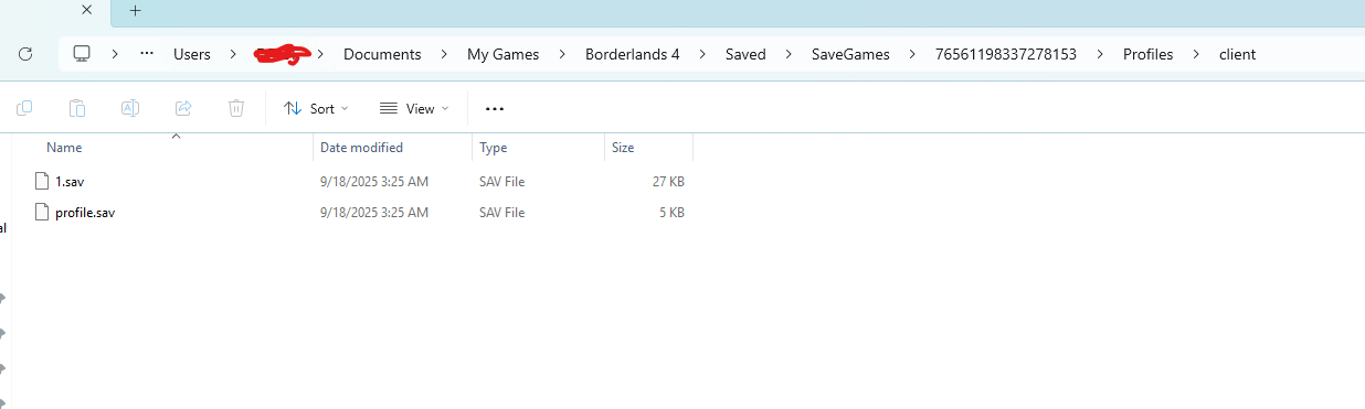 Borderlands 4 Save File Location