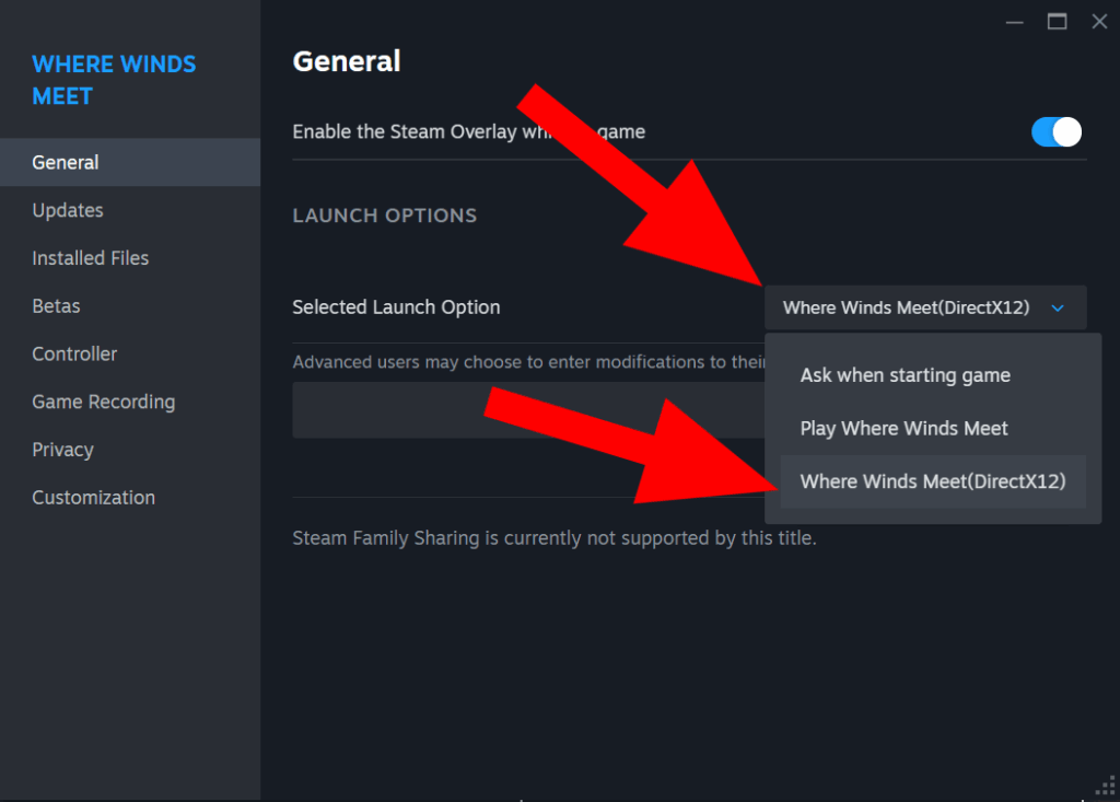 Where Winds Meet: DLSS and Frame Gen no Showing? - How To Enable Them 2