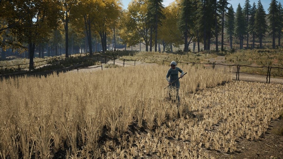 Medieval Dynasty Crop Plantations