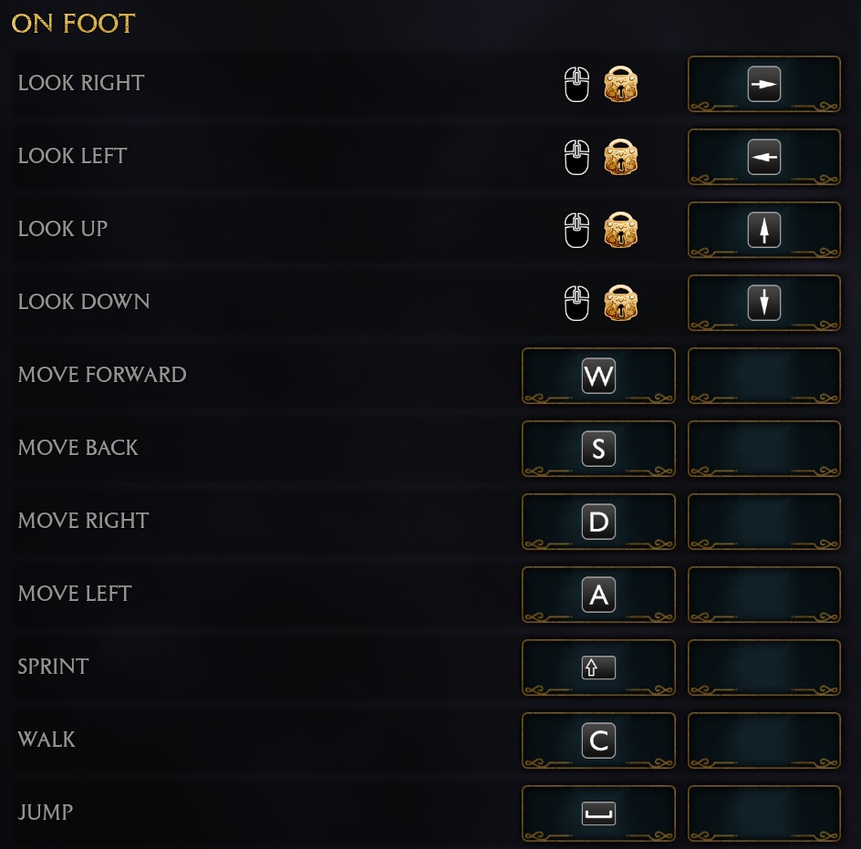 Hogwarts Legacy controls 1