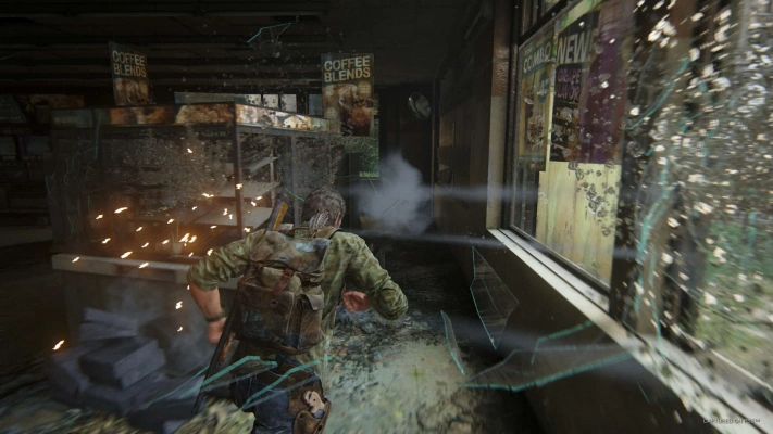 The Last of Us PC - bugs