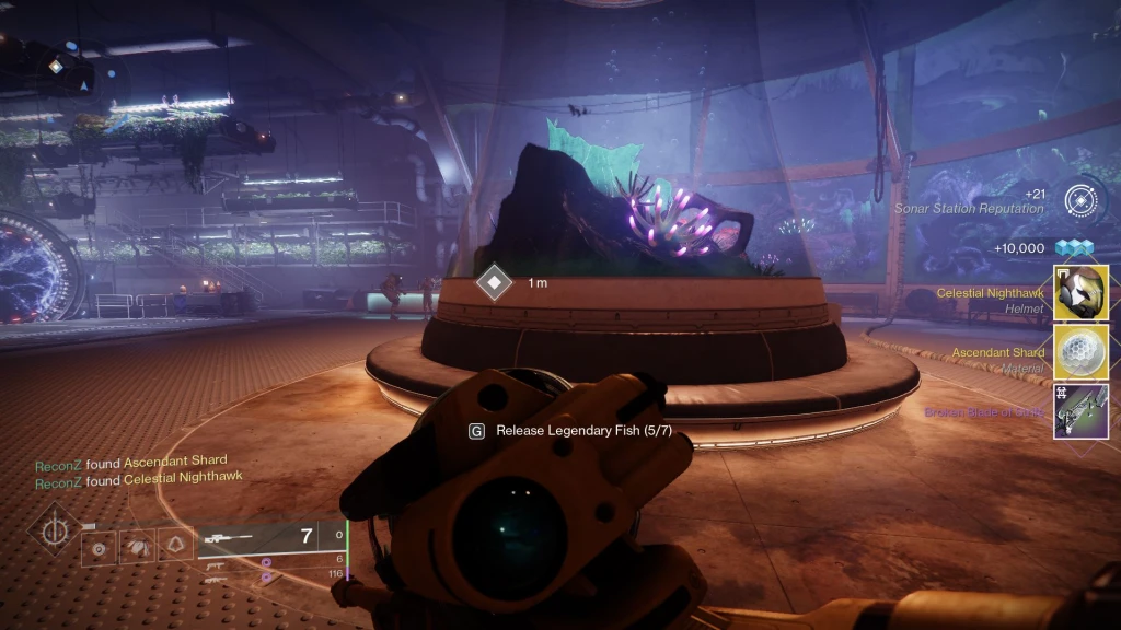 Destiny 2 - Catching fish